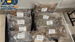 Marihuana intervenida