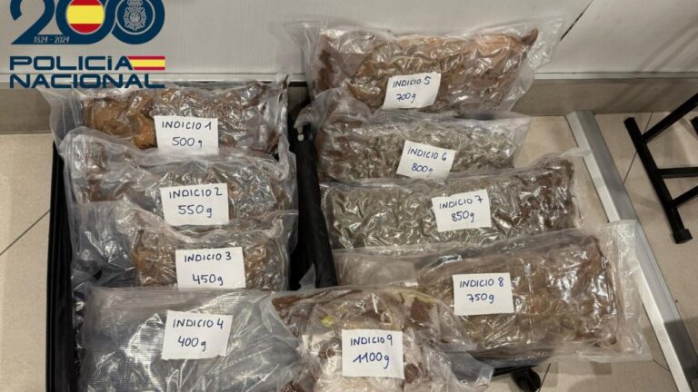 Marihuana intervenida