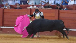 morante de la puebla