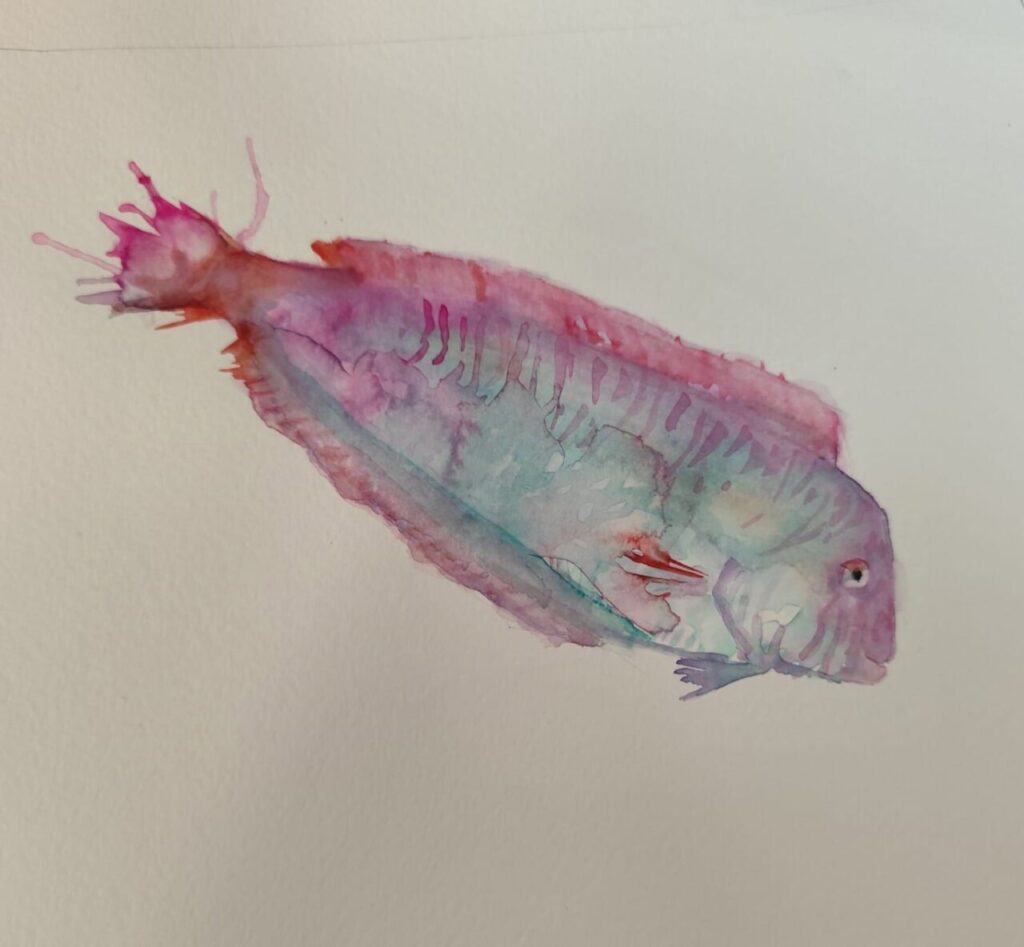 obra de arte de Paula Gutiérrez 7