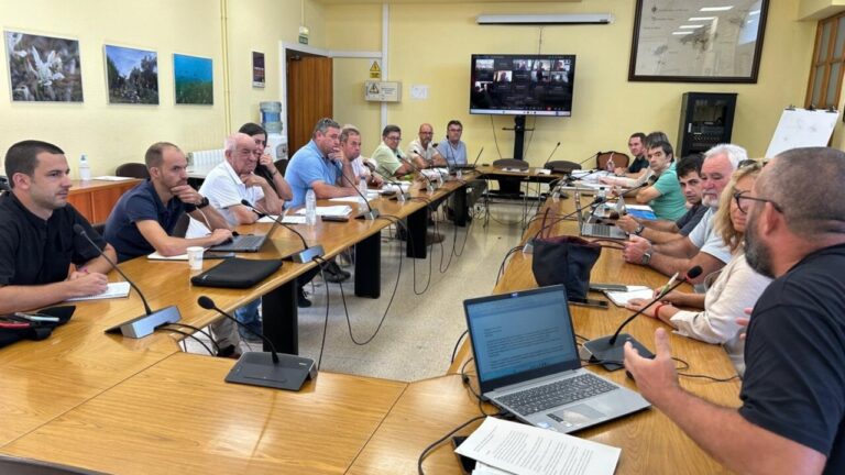 Vacunación urgente en once municipios de Mallorca tras la emergencia sanitaria por lengua azul