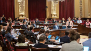 Reunión en el Parlamento con varios representantes discutiendo temas importantes.