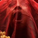 Persona cubierta con tela roja en celebración de Halloween