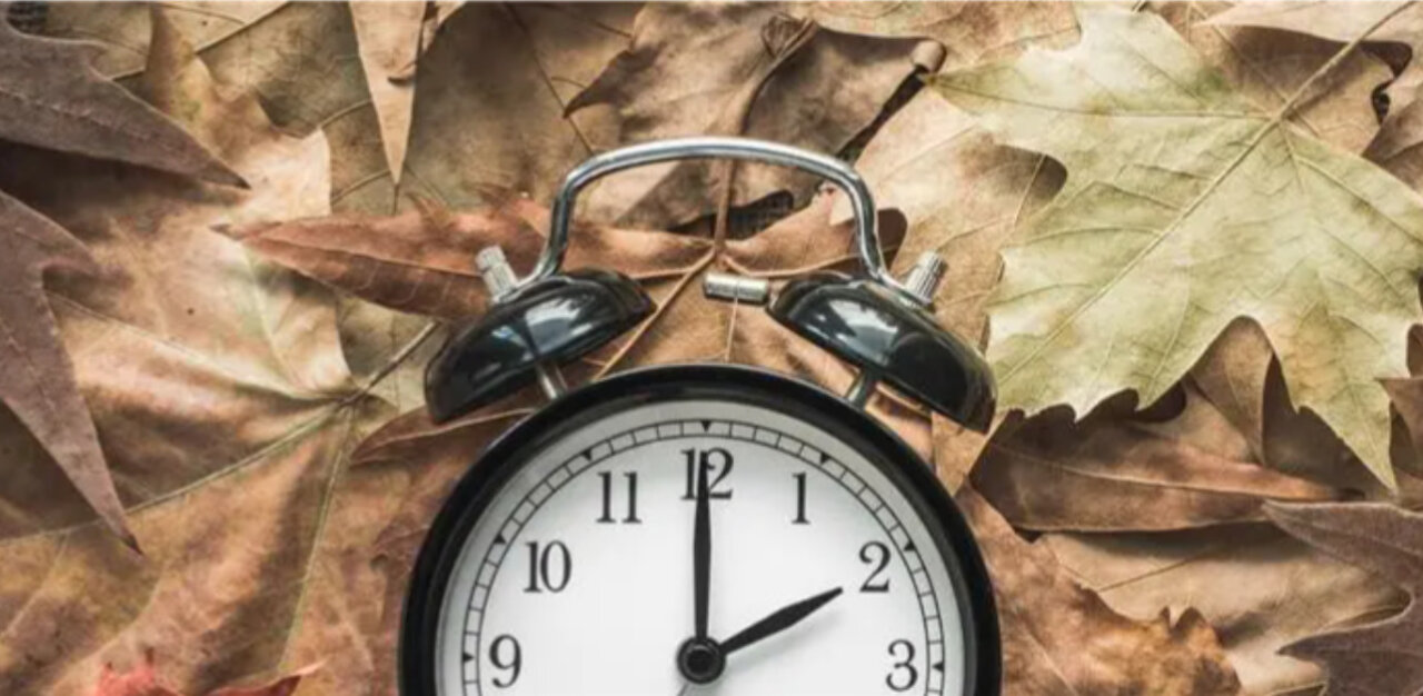 Reloj despertador sobre hojas secas en otoño