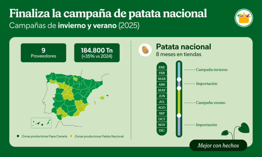 Infografía sobre la campaña de patata nacional en 2025