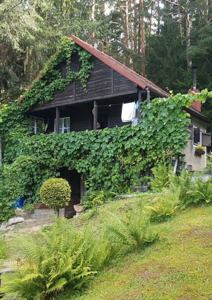 Casa de Lucie Balaguer rodeada de vegetaci&oacute;n en Palma
