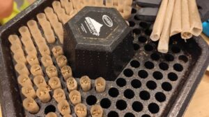 Tres detenidos por tráfico de drogas en una asociación cannábica de Santa Catalina