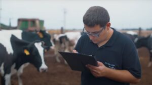 Trabajador en una explotación ganadera que suministra leche a Agama