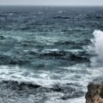 Olas