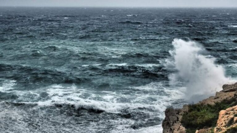 Olas