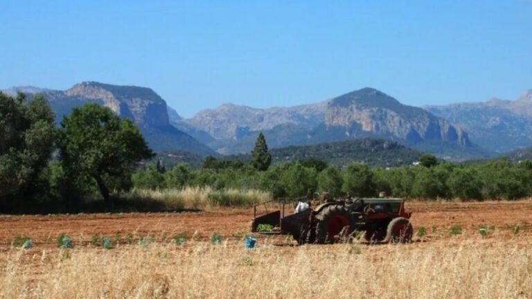 Tractor en un campo con montañas al fondo en Baleares