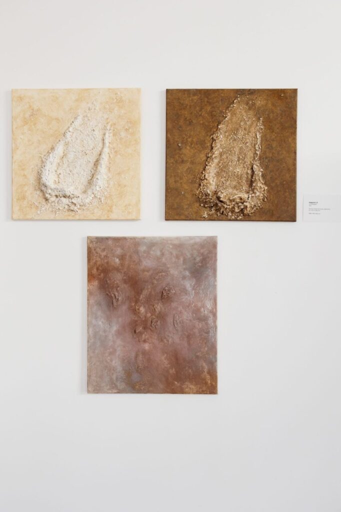 Tres obras de arte en relieve de Lucie Balaguer en una pared blanca