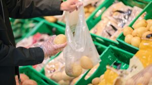 Mercadona comercializa 184.800 toneladas de patata nacional este año, un 35 por ciento más