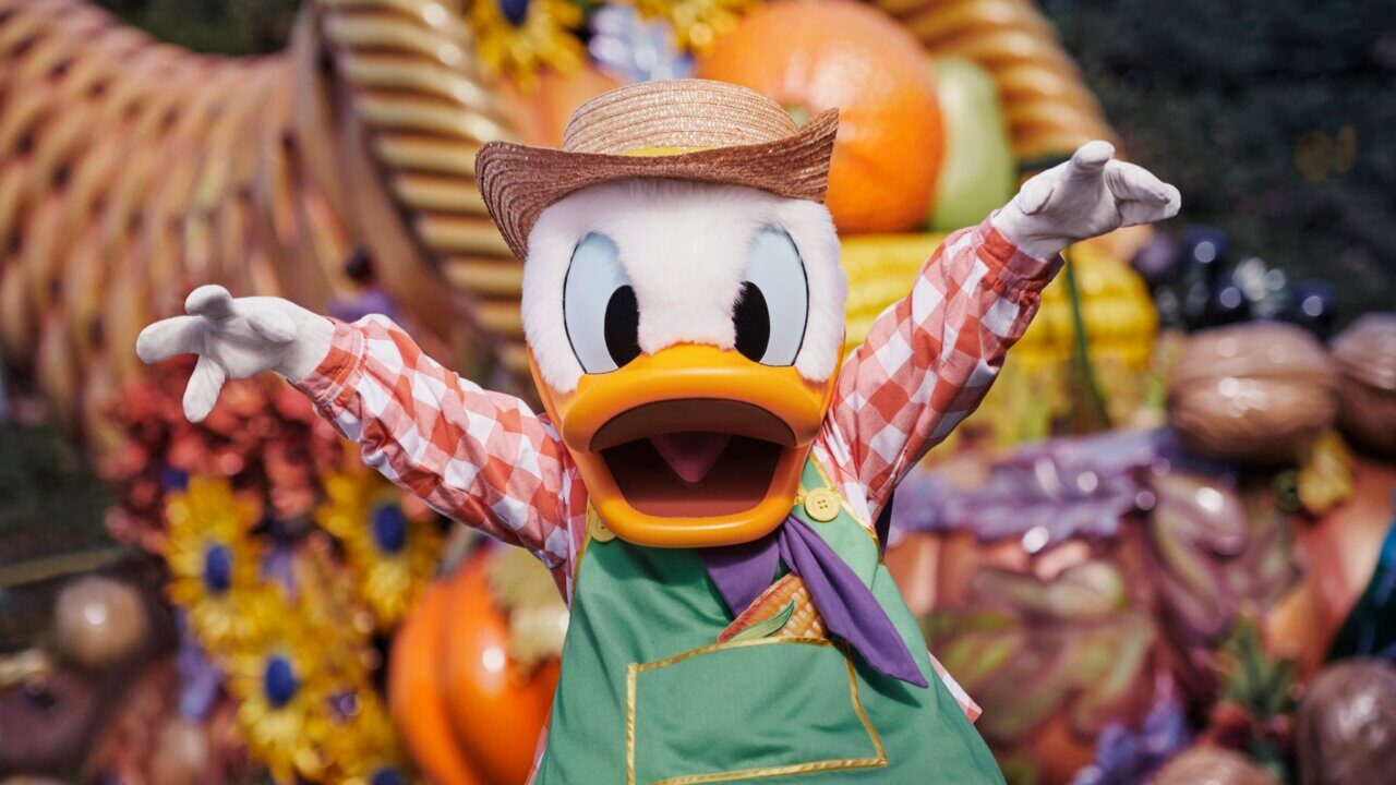 Pato Donald vestido con un sombrero y ropa colorida en un entorno festivo