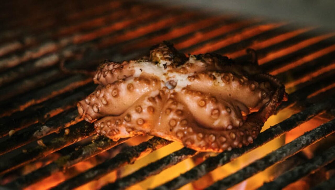 Pulpo a la brasa cocinándose sobre una parrilla caliente