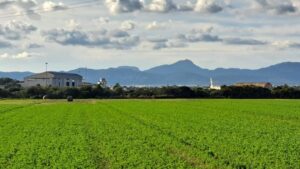 Lugar donde se construirá el depósito de munición en la Base Aérea de Son Sant Joan.