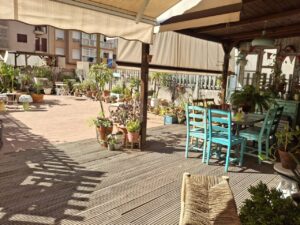 Vista del taller de Karina Cappato con plantas y muebles decorativos