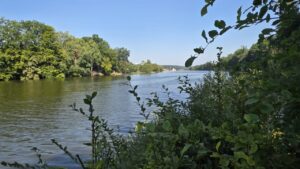 Vista del r&iacute;o rodeado de &aacute;rboles y vegetaci&oacute;n verde