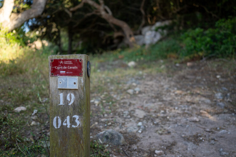 l Camí de Cavalls explicado fácil: así se recorre Menorca a pie sin improvisar