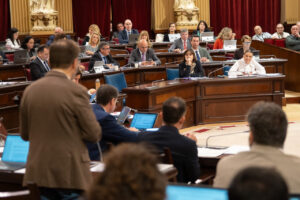 Vista de una sesión plenaria en el Parlamento con varios asistentes.