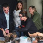 Restauradores trabajando en figuras del Belén de la Sang