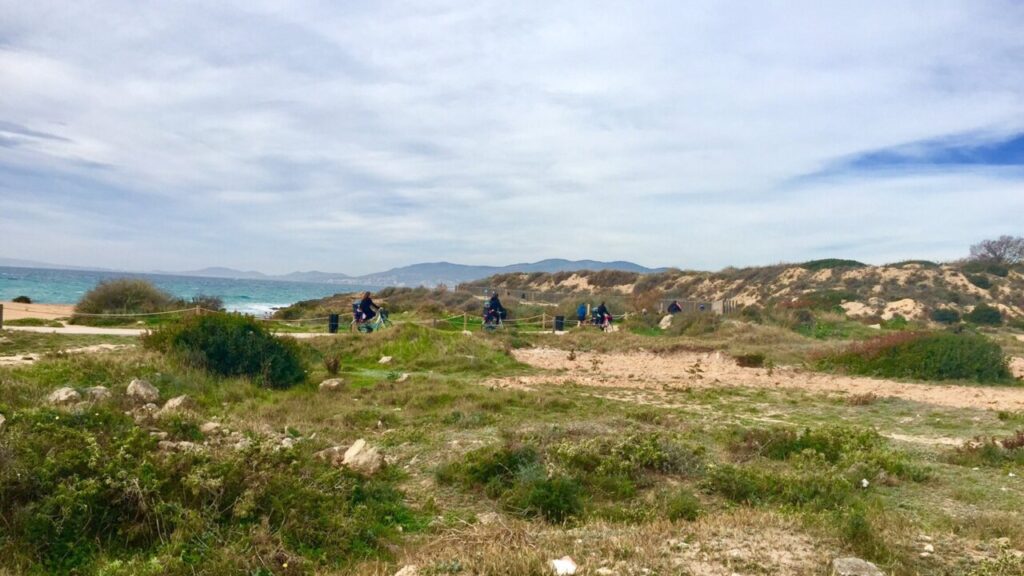 Hallan un cadáver en la costa de es Carnatge