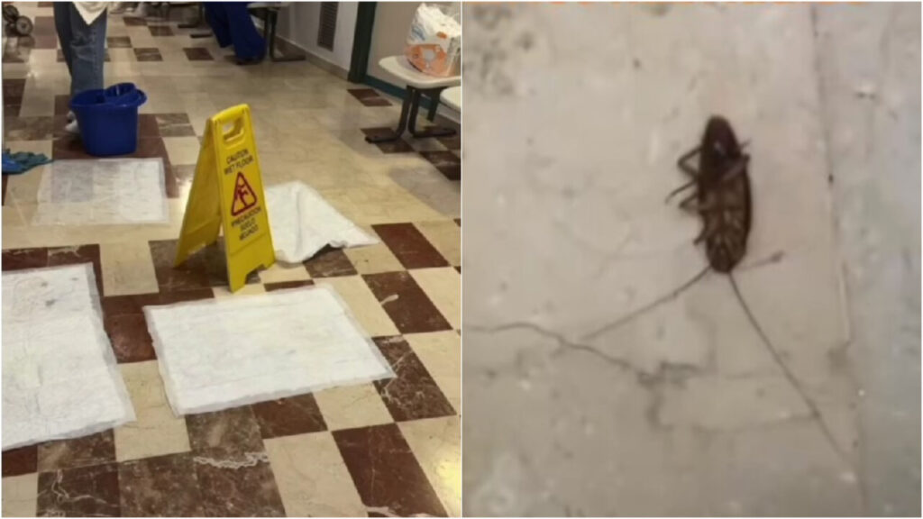 Denuncian las "condiciones insalubres" que sufren médicos y pacientes en el PAC de s'Escorxador