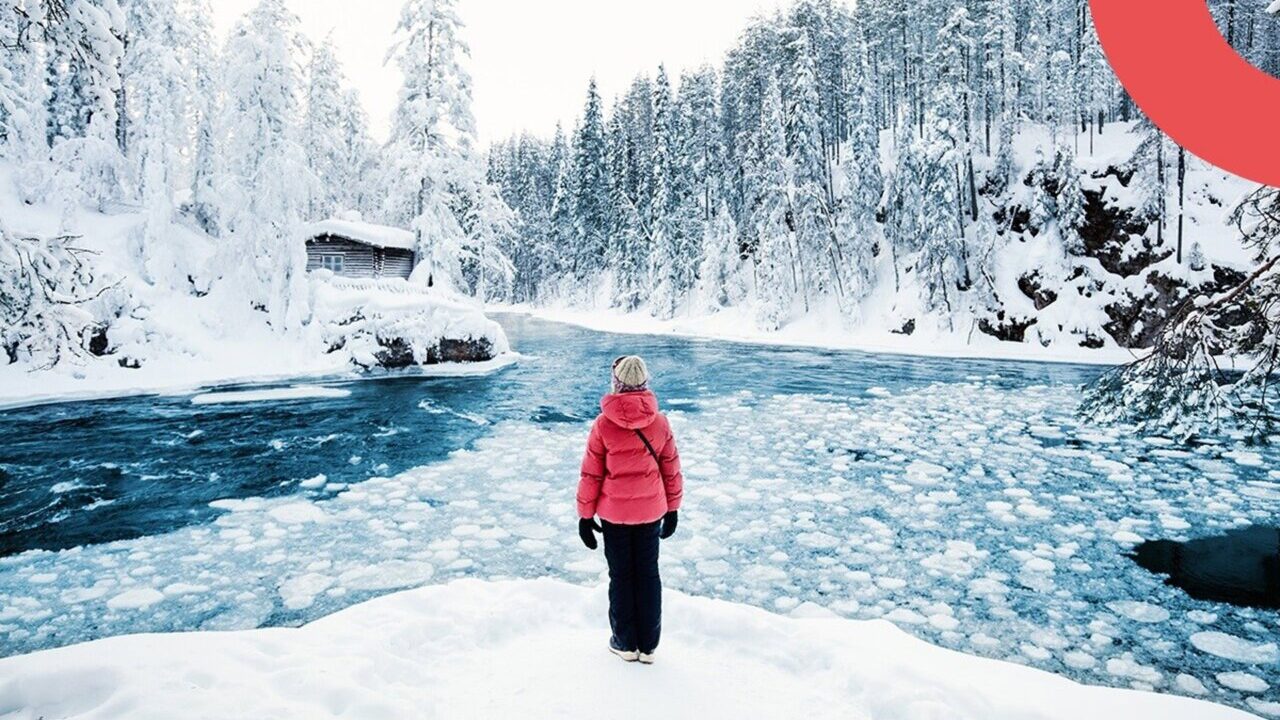 Persona de pie frente a un paisaje nevado en Laponia