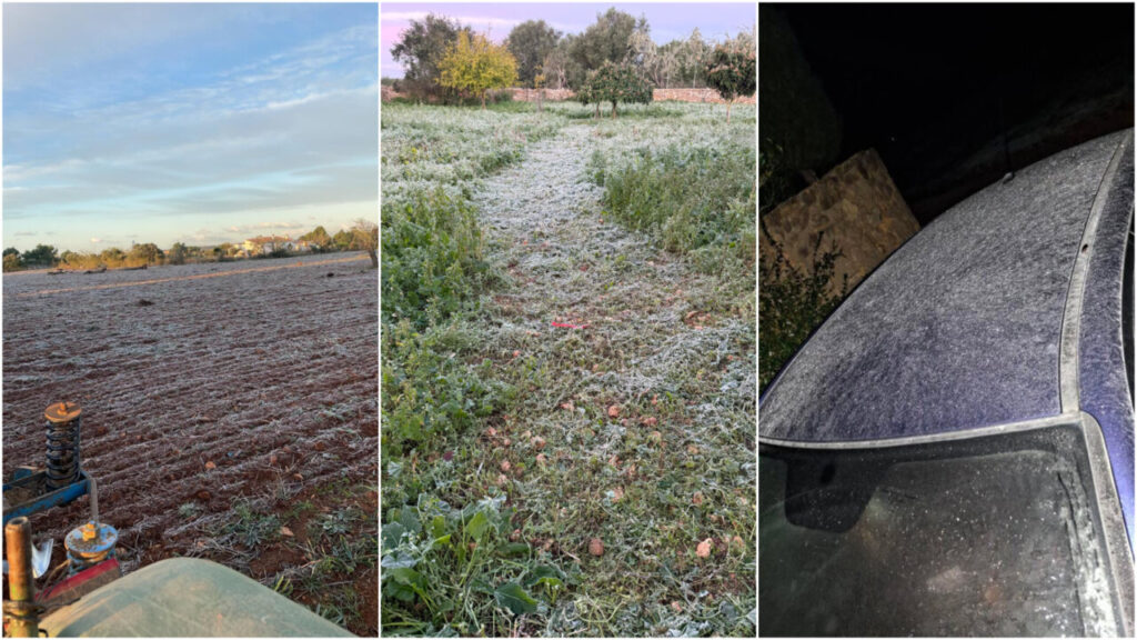 Mallorca amanece helada tras registrar 0 grados en varios municipios