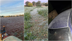 Mallorca amanece helada tras registrar 0 grados en varios municipios