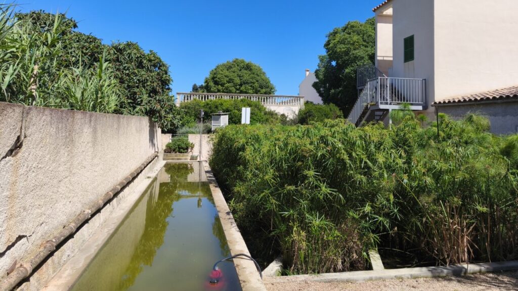 Vista de un paisaje con una casa y vegetación abundante