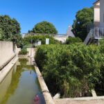 Vista de un paisaje con una casa y vegetación abundante