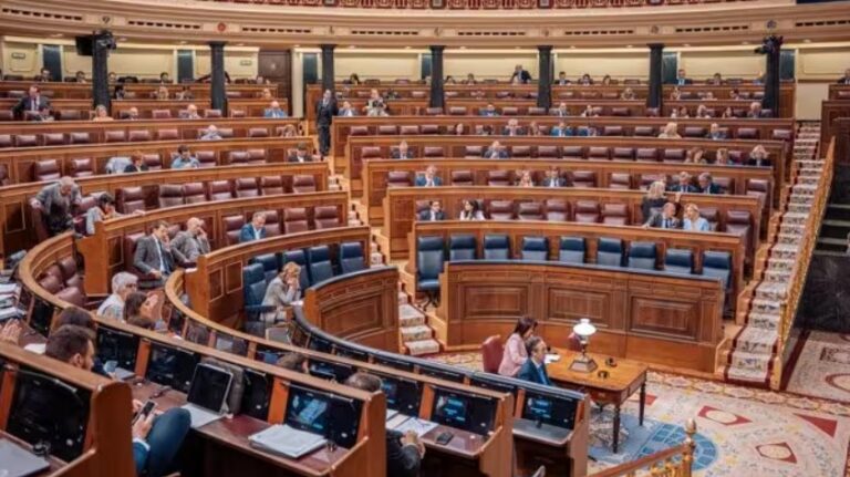 Vista del parlamento durante la aprobación de la ley ELA
