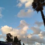 Cielo parcialmente nublado con palmera en primer plano