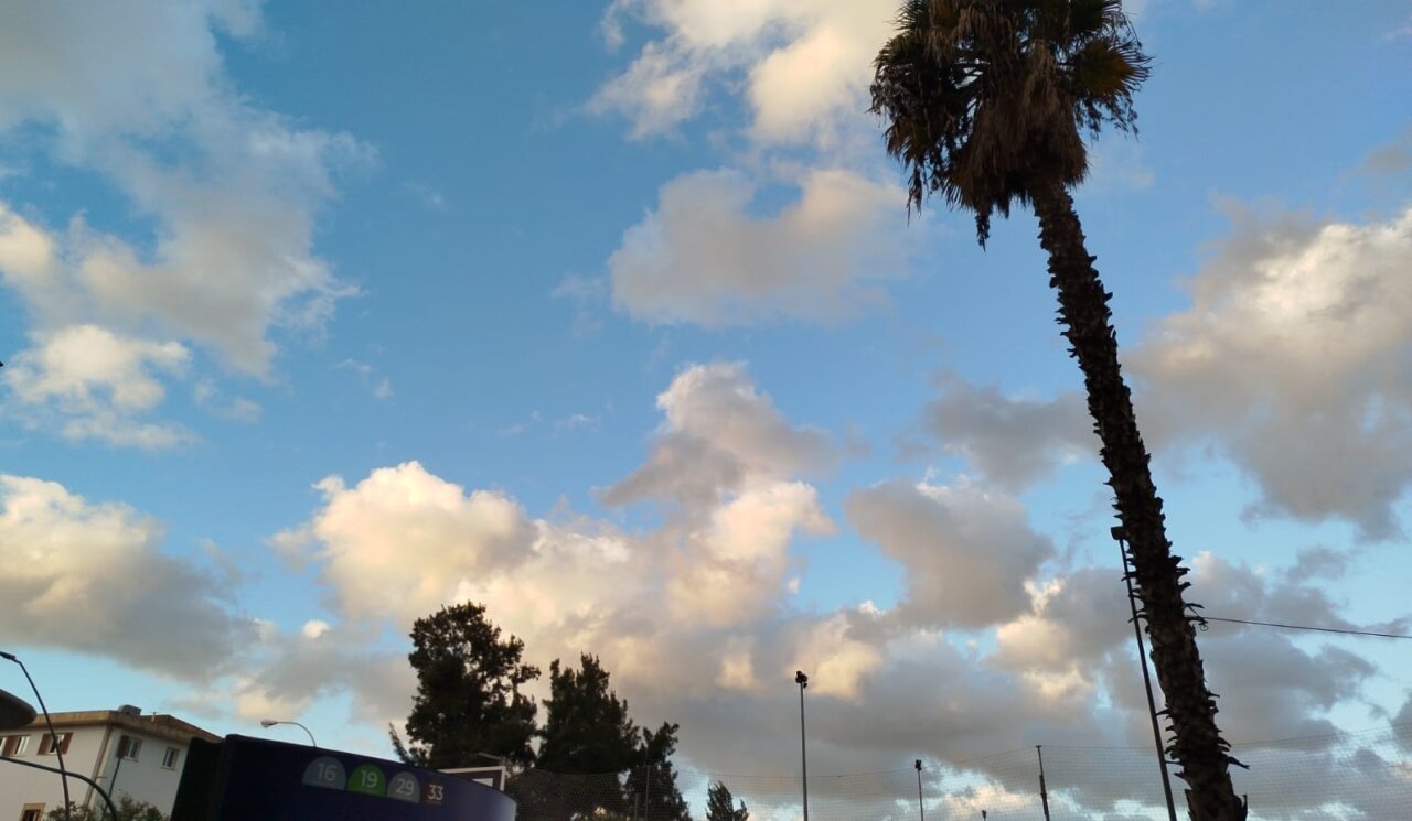 Cielo parcialmente nublado con palmera en primer plano
