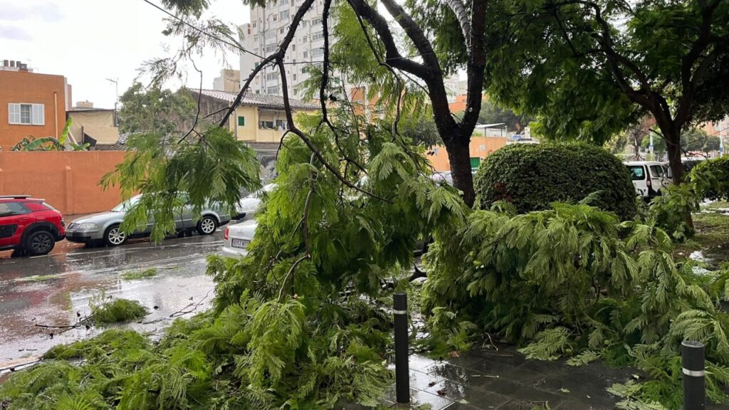 Un temporal azota con fuerza a Mallorca: fuertes lluvias y viento huracanado