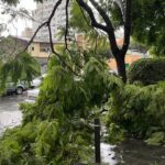 Un temporal azota con fuerza a Mallorca: fuertes lluvias y viento huracanado