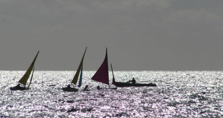 Barcos de vela adaptada compitiendo en el mar con diversas velas