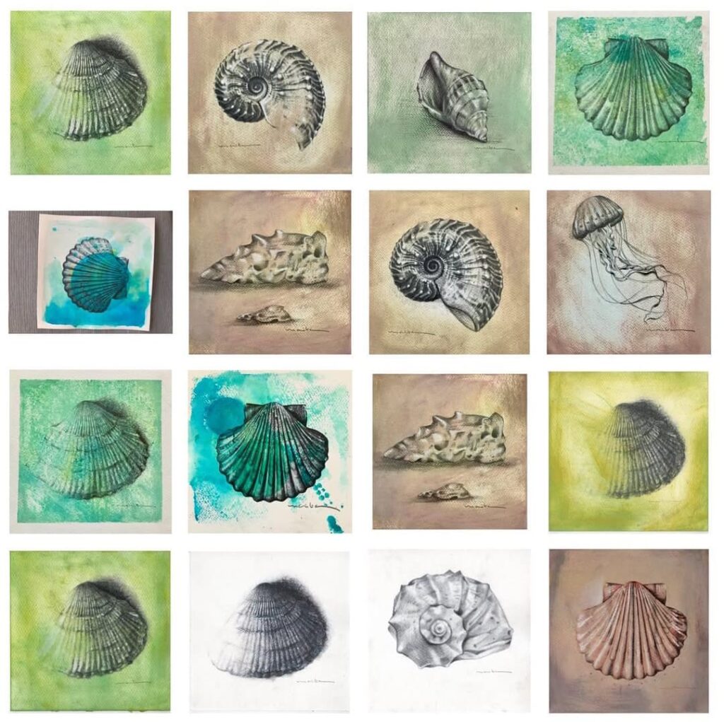 Colección de obras de arte de Maite Granados con conchas marinas