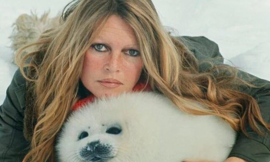 Brigitte Bardot posando con un foca en un entorno nevado