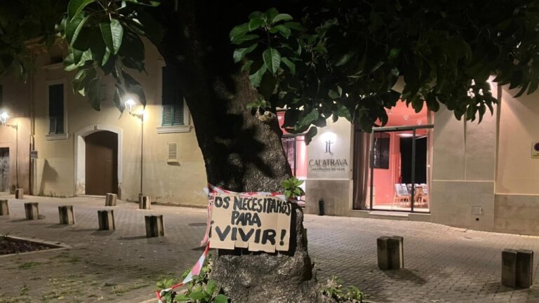 Cartel colocado por vecinos en un &aacute;rbol en Palma