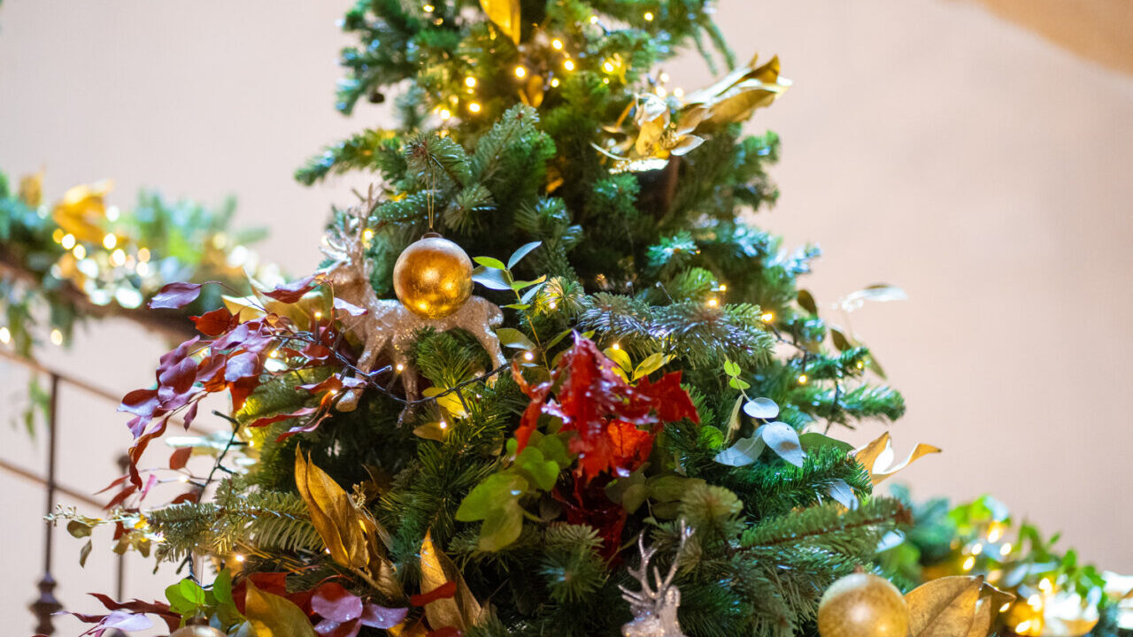 El Govern intensifica los controles para retirar decoraci&oacute;n y disfraces navide&ntilde;os inseguros