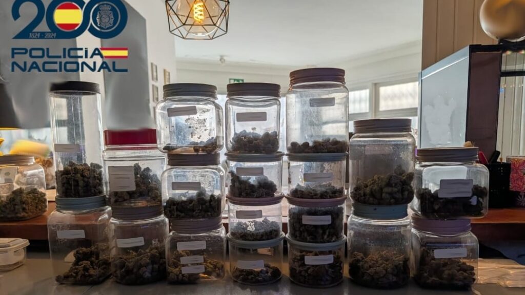 Frascos con marihuana incautados por la Policía Nacional en Playa de Palma