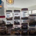 Frascos con marihuana incautados por la Policía Nacional en Playa de Palma