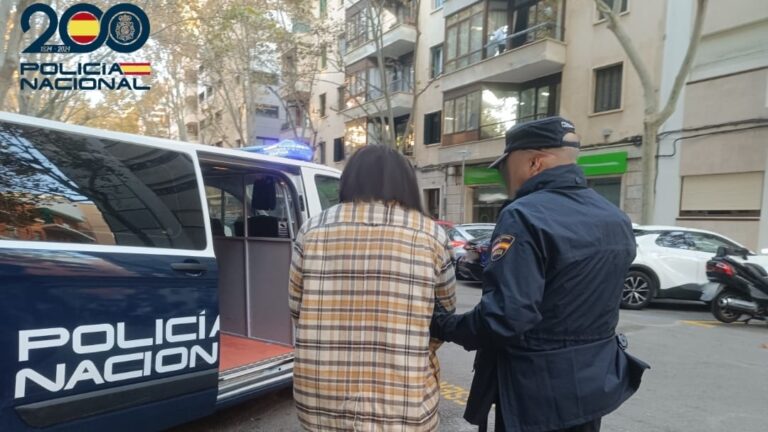 Detenido por intento de robo de móvil en Palma con barra de hierro.