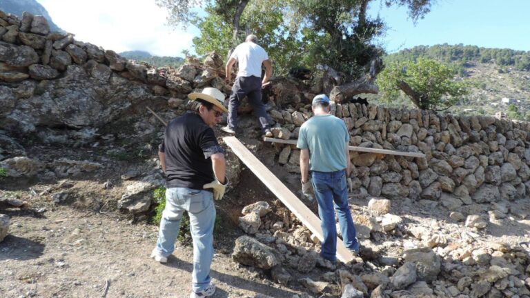 Trabajadores construyendo muros de piedra en seco en Mallorca