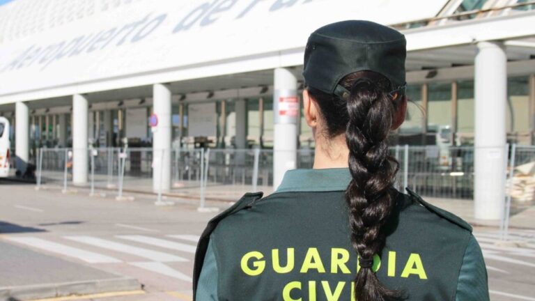 Nueve detenidos por provocar un altercado en un avi&oacute;n en el aeropuerto de Palma