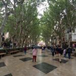 Personas caminando bajo la lluvia en una calle arbolada de Baleares