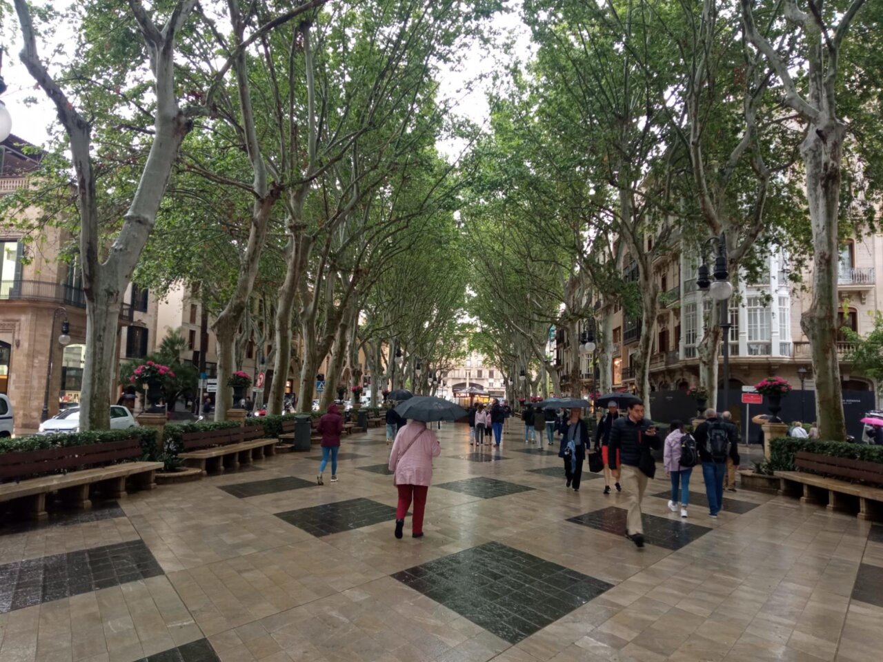 Personas caminando bajo la lluvia en una calle arbolada de Baleares