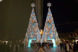 Árboles de Navidad iluminados en una plaza durante la noche.